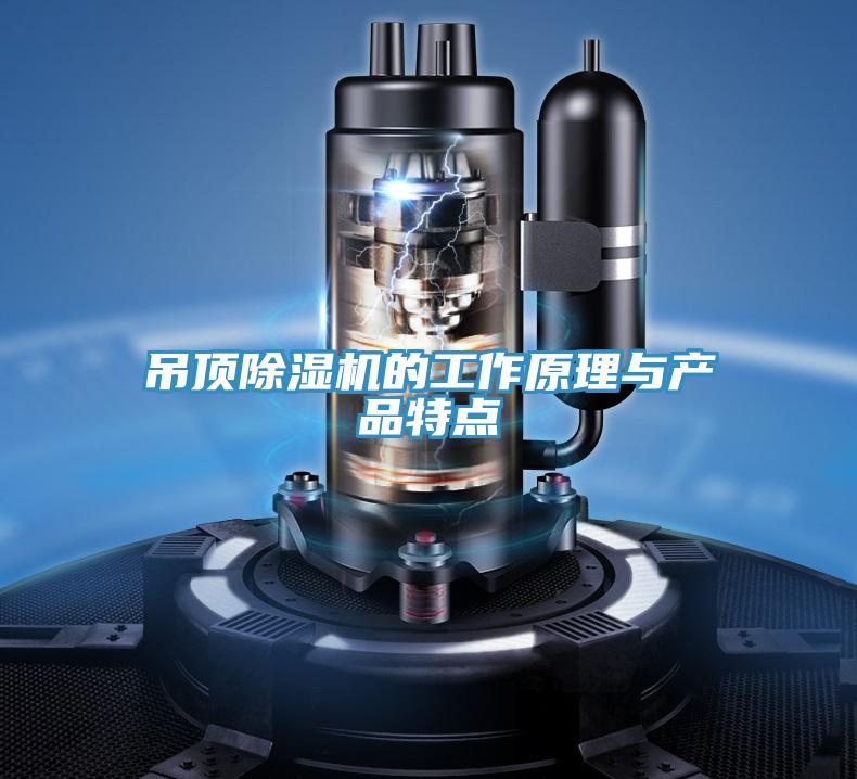 吊頂深夜福利视频网站的工作原理與產品特點