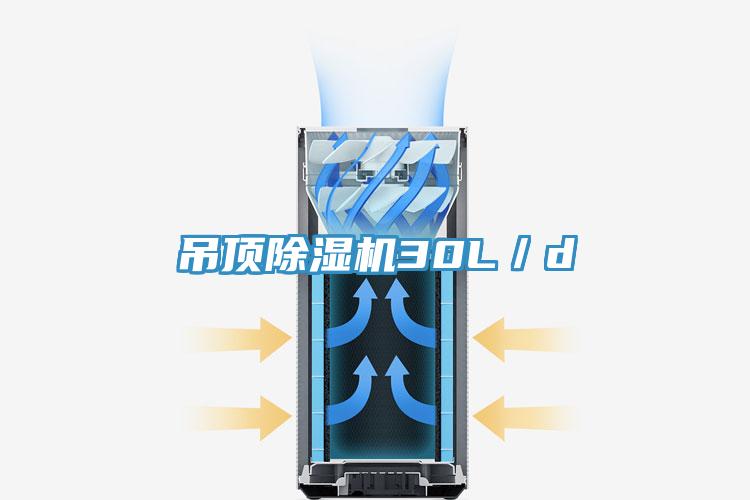 吊頂深夜福利视频网站30L／d
