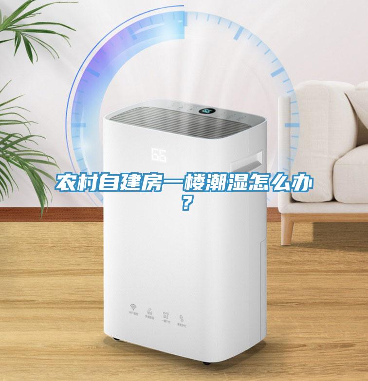 農村自建房一樓潮濕怎麽辦？