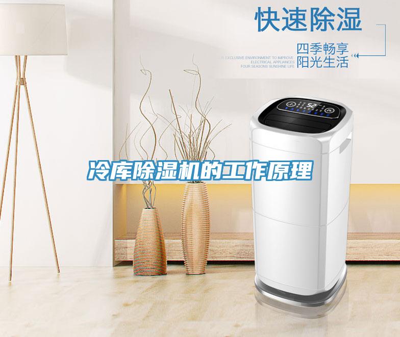 冷庫深夜福利视频网站的工作原理
