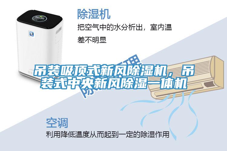 吊裝吸頂式新風深夜福利视频网站，吊裝式中央新風除濕一體機