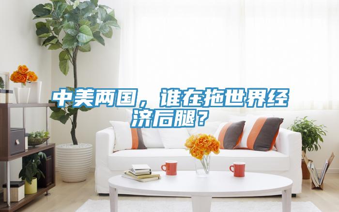 中美兩國，誰在拖世界經濟後腿？