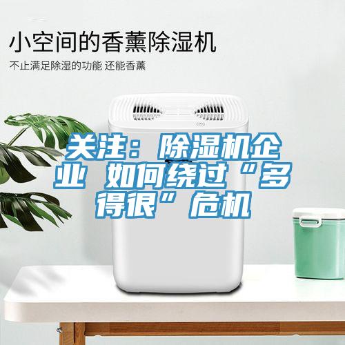 關注：深夜福利视频网站企業 如何繞過“多得很”危機