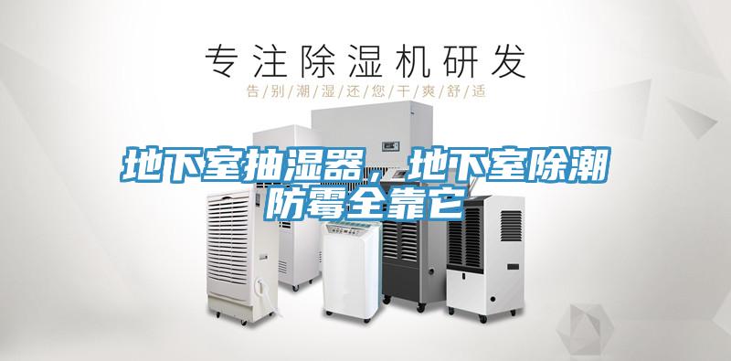 地下室抽濕器，地下室除潮防黴全靠它