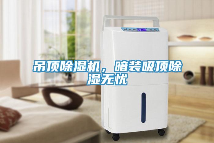 吊頂深夜福利视频网站，暗裝吸頂除濕無憂