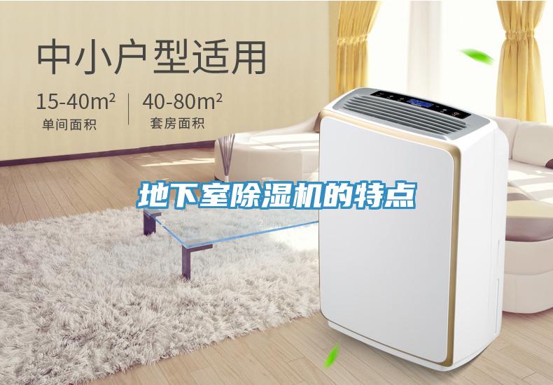 地下室深夜福利视频网站的特點