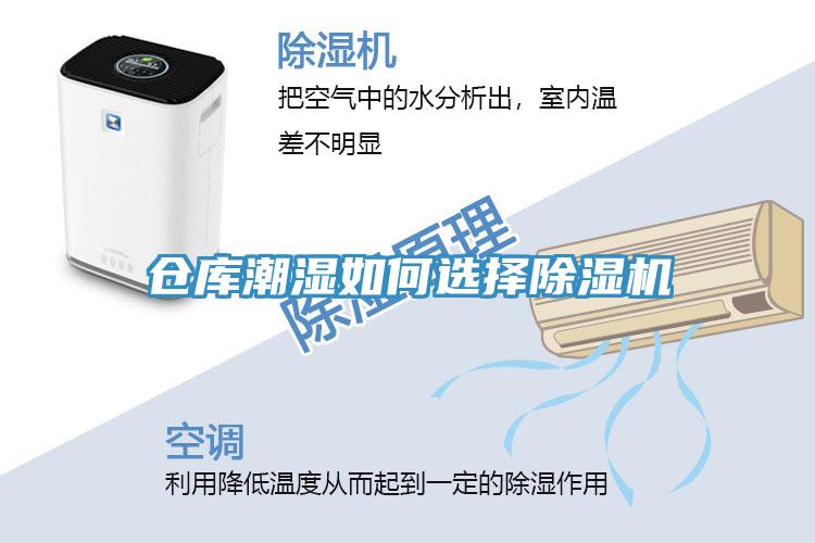 倉庫潮濕如何選擇深夜福利视频网站