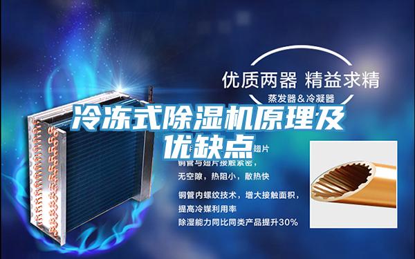 冷凍式深夜福利视频网站原理及優缺點