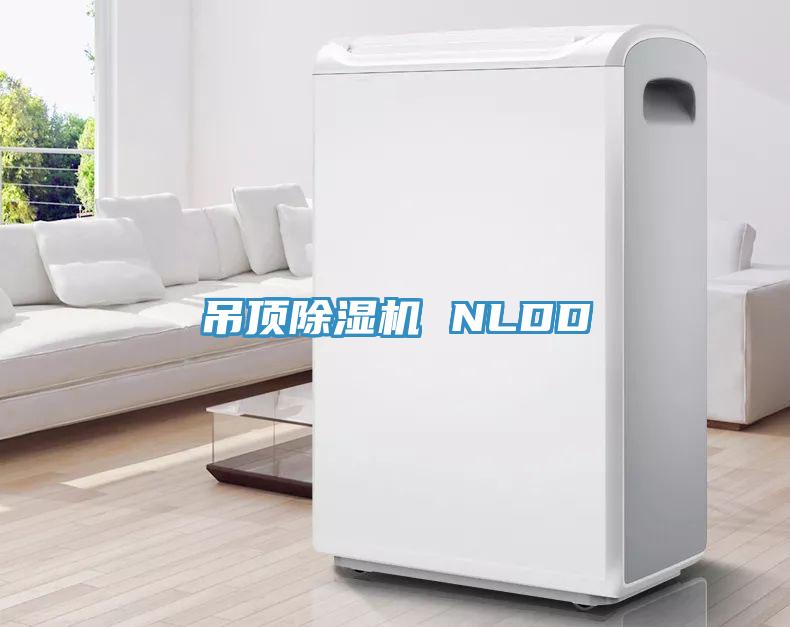 吊頂深夜福利视频网站 NLDD