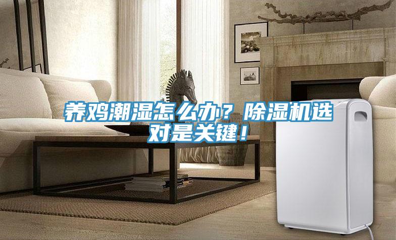 養雞潮濕怎麽辦？深夜福利视频网站選對是關鍵！