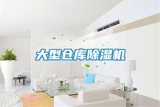 大型倉庫深夜福利视频网站