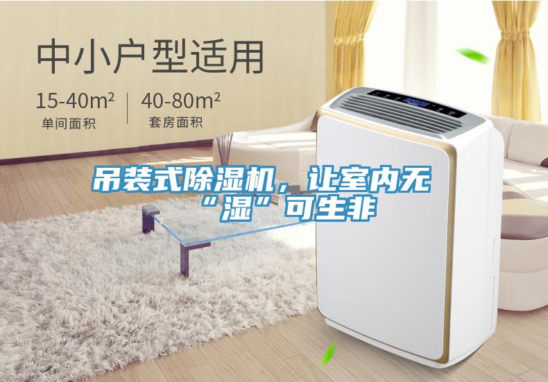 吊裝式深夜福利视频网站，讓室內無“濕”可生非