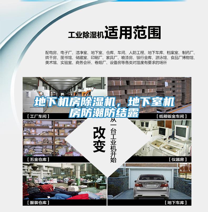 地下機房深夜福利视频网站，地下室機房防潮防結露