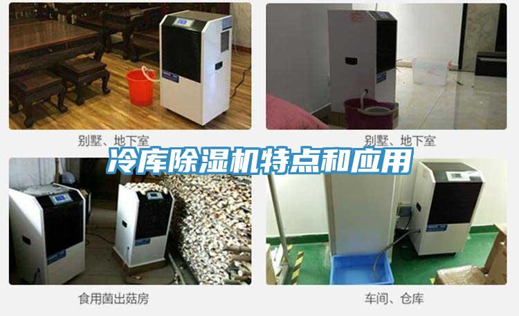 冷庫深夜福利视频网站特點和應用