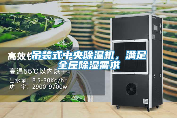 吊裝式中央深夜福利视频网站，滿足全屋除濕需求