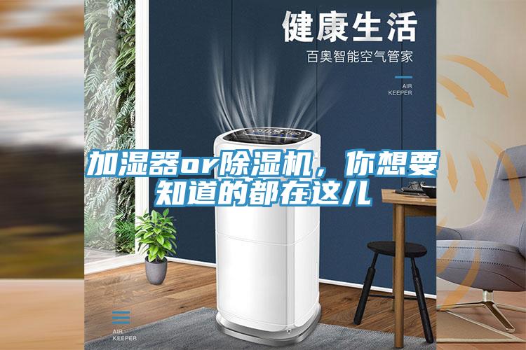 加濕器or深夜福利视频网站，你想要知道的都在這兒
