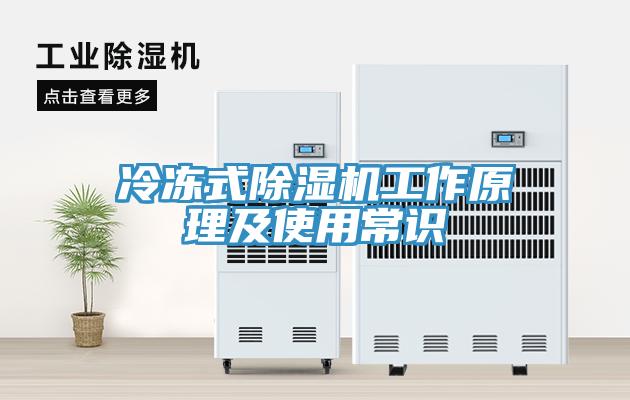 冷凍式深夜福利视频网站工作原理及使用常識
