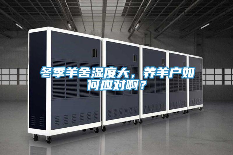 冬季羊舍濕度大，養羊戶如何應對啊？