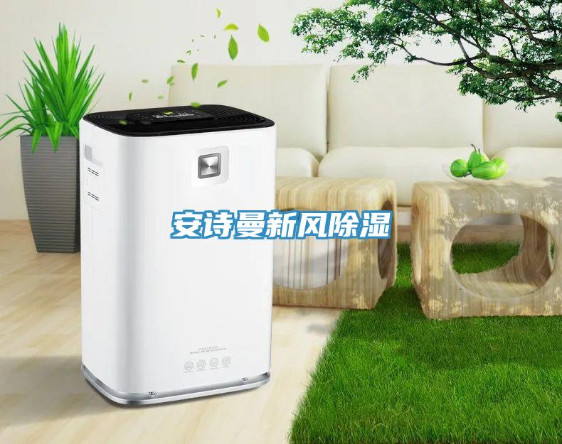 深夜在线视频新風除濕