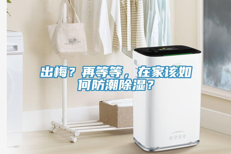 出梅？再等等，在家該如何防潮除濕？