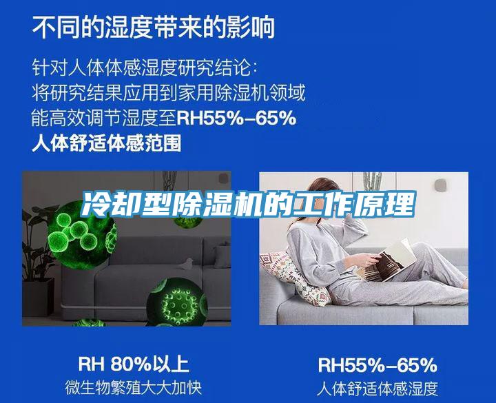 冷卻型深夜福利视频网站的工作原理