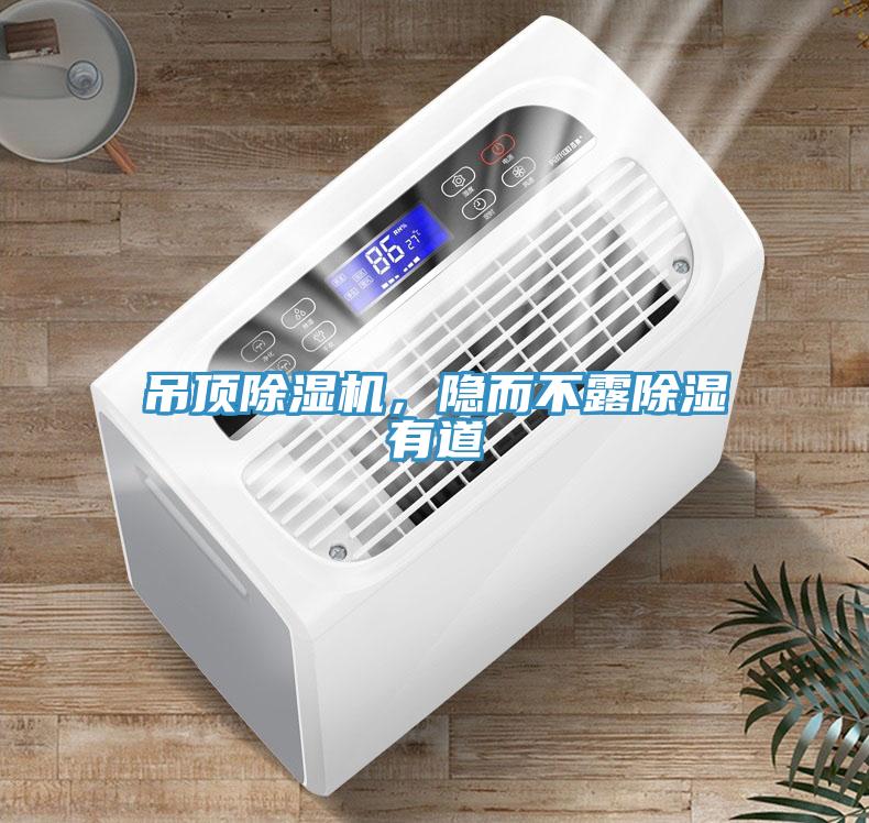 吊頂深夜福利视频网站，隱而不露除濕有道