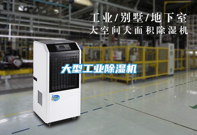 大型工業深夜福利视频网站