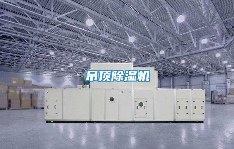 吊頂深夜福利视频网站
