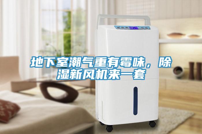 地下室潮氣重有黴味，除濕新風機來一套