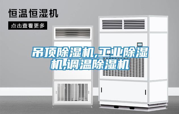 吊頂深夜福利视频网站,工業深夜福利视频网站,調溫深夜福利视频网站