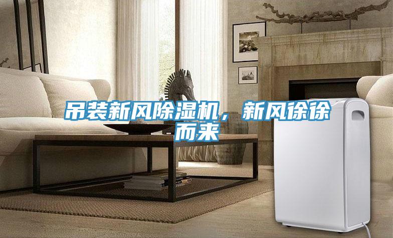 吊裝新風深夜福利视频网站，新風徐徐而來