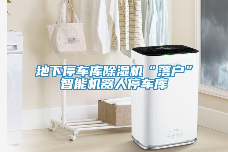 地下停車庫深夜福利视频网站“落戶”智能機器人停車庫