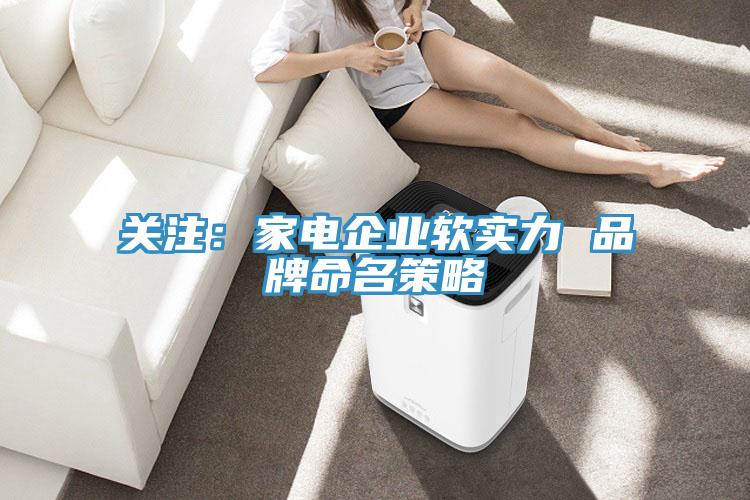關注：家電企業軟實力 品牌命名策略