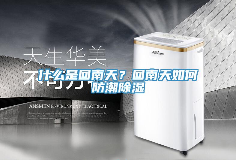什麽是回南天？回南天如何防潮除濕