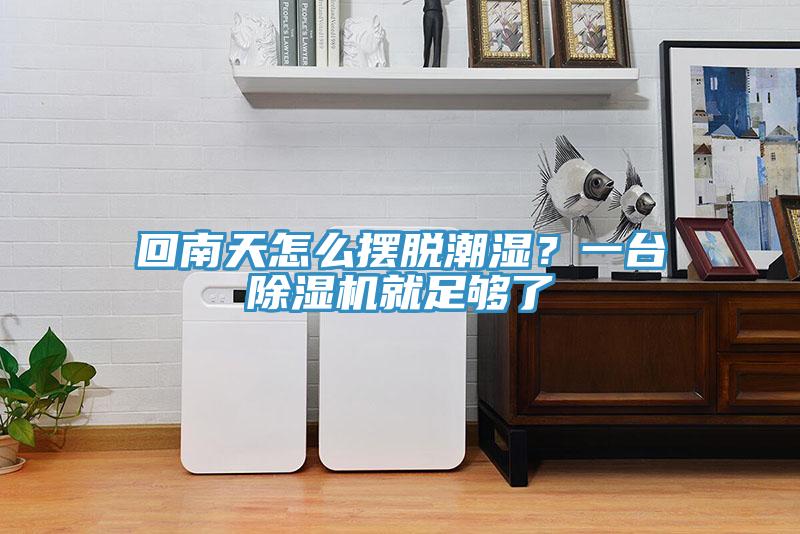 回南天怎麽擺脫潮濕？一台深夜福利视频网站就足夠了