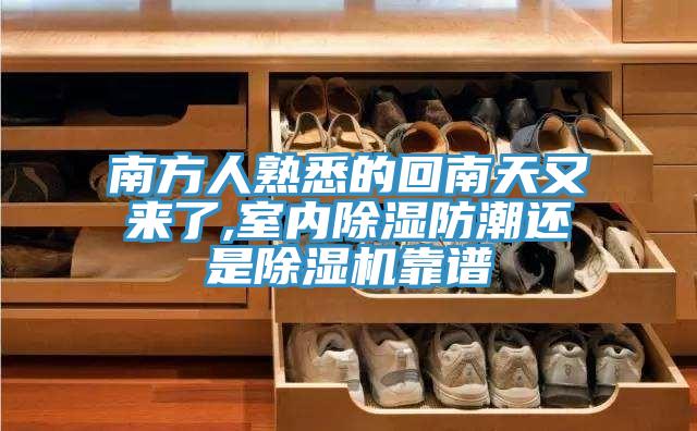 南方人熟悉的回南天又來了,室內除濕防潮還是深夜福利视频网站靠譜