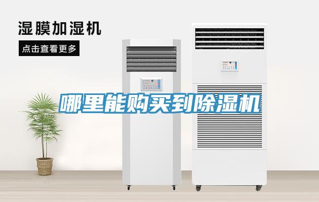 哪裏能購買到深夜福利视频网站