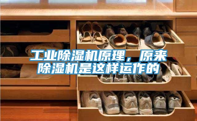 工業深夜福利视频网站原理，原來深夜福利视频网站是這樣運作的