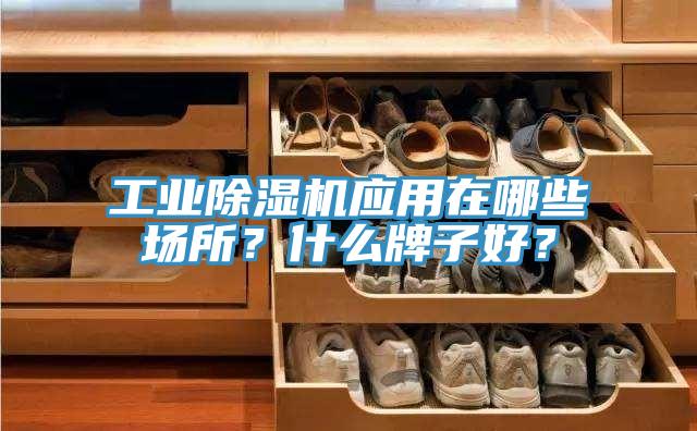 工業深夜福利视频网站應用在哪些場所？什麽牌子好？