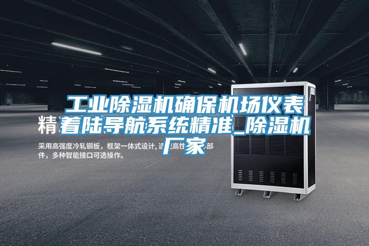 工業深夜福利视频网站確保機場儀表著陸導航係統精準_深夜福利视频网站廠家