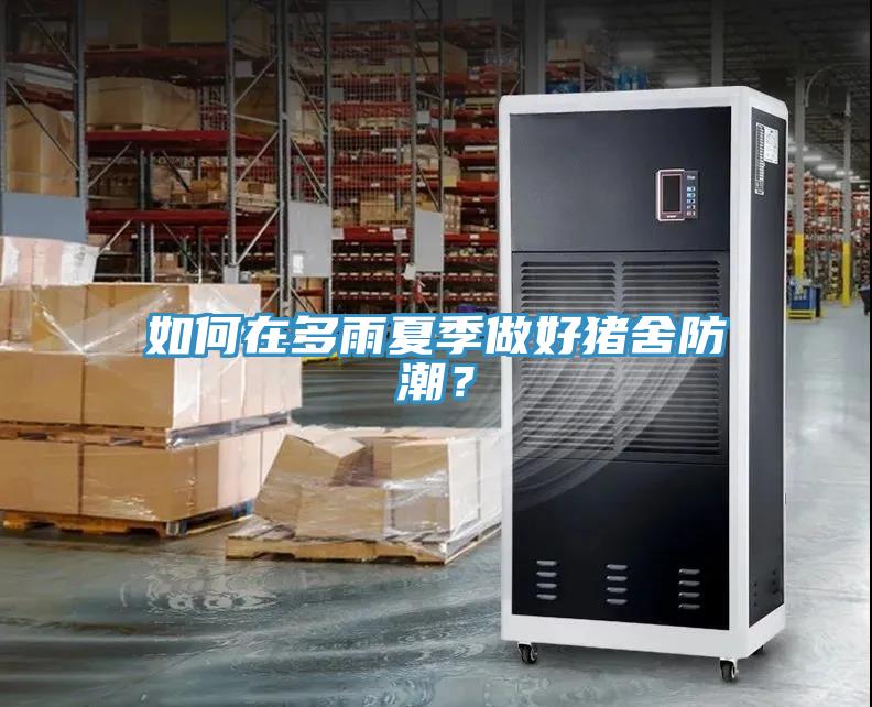 如何在多雨夏季做好豬舍防潮？