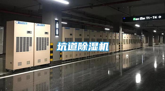 坑道深夜福利视频网站