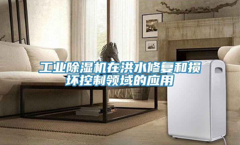 工業深夜福利视频网站在洪水修複和損壞控製領域的應用