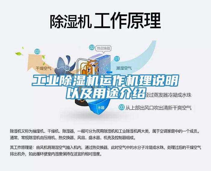工業深夜福利视频网站運作機理說明以及用途介紹
