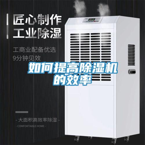 如何提高深夜福利视频网站的效率