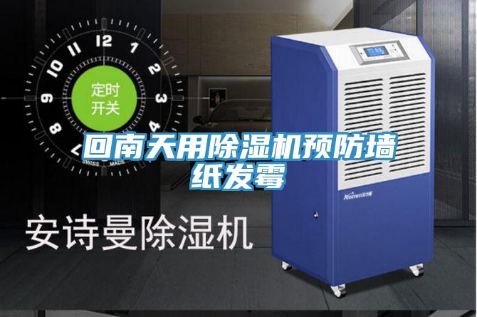 回南天用深夜福利视频网站預防牆紙發黴