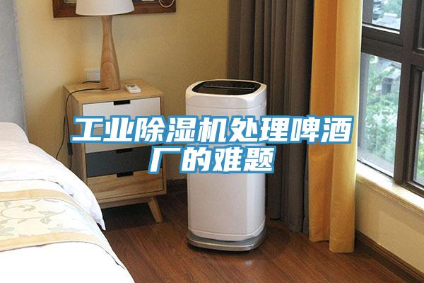 工業深夜福利视频网站處理啤酒廠的難題