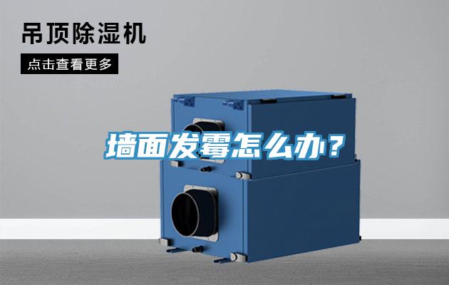 牆麵發黴怎麽辦？