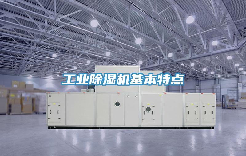 工業深夜福利视频网站基本特點