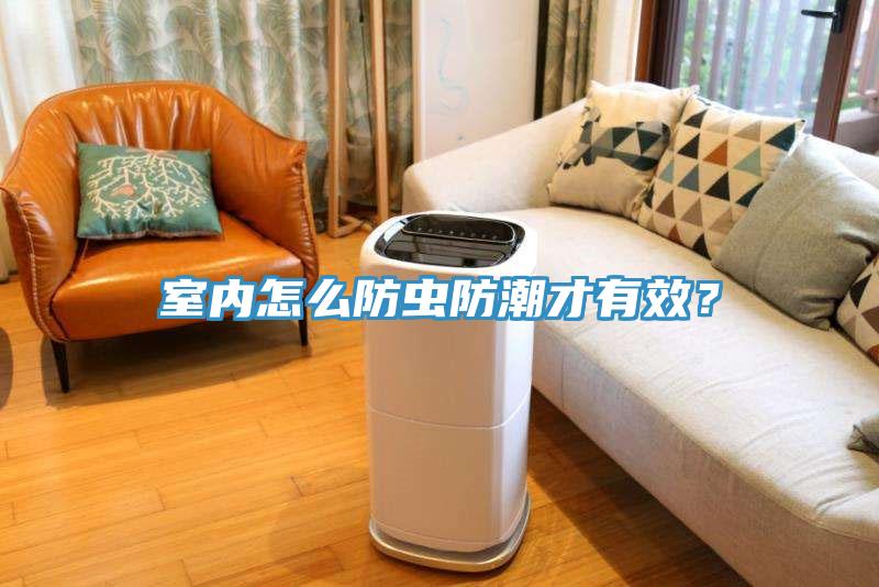 室內怎麽防蟲防潮才有效？
